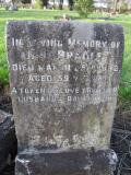 image of grave number 363687